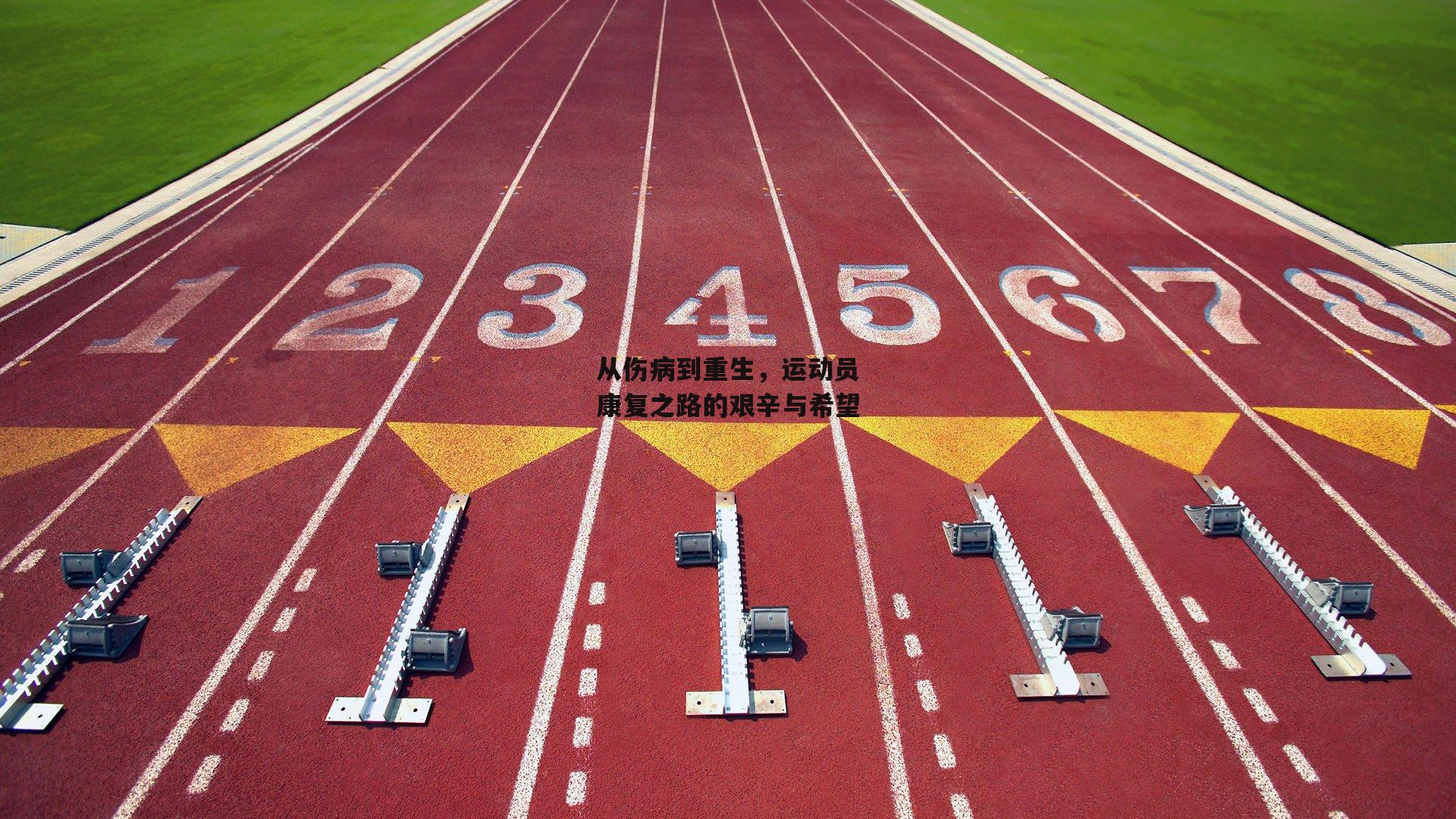 从伤病到重生,运动员康复之路的艰辛与希望